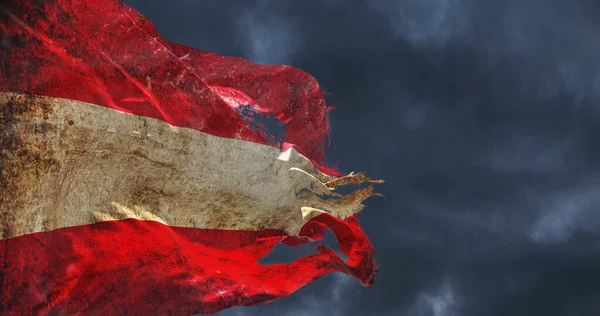 Avusturya Bayrağı Rüzgarda Sallanıyordu Illüstrasyon — Stok fotoğraf