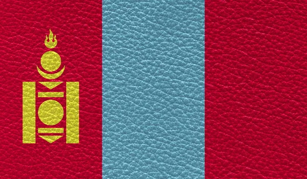 Bandiera Piatta Della Mongolia Stampato Sfondo Texture Pelle Vista Dall — Foto Stock