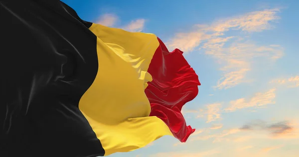Великий Бельгійський Прапор Махає Вітром — стокове фото