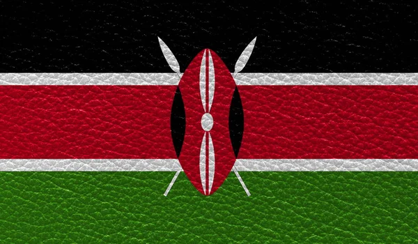 Bandiera Piatta Del Kenya Stampato Sfondo Texture Pelle Vista Dall — Foto Stock