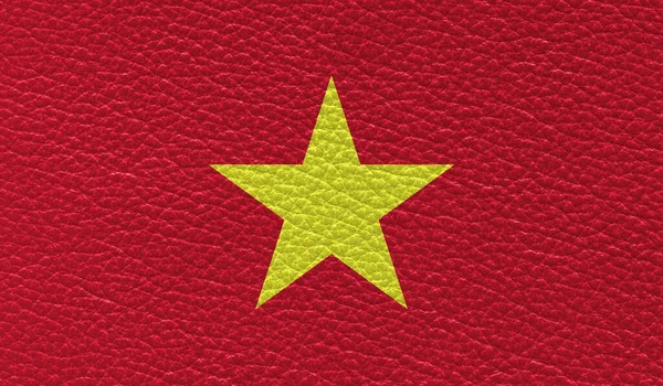 Flat Flag Vietnam Printed Leather Texture Background Top View — Stock Photo, Image