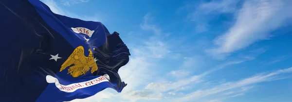 Bandera Del Vice Jefe Oficina Guardia Nacional Ondeando Viento Estados — Foto de Stock