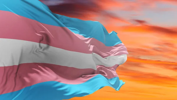 Bandera Del Orgullo Transgénero Ondeando Viento Cielo Nublado Concepto Libertad —  Fotos de Stock
