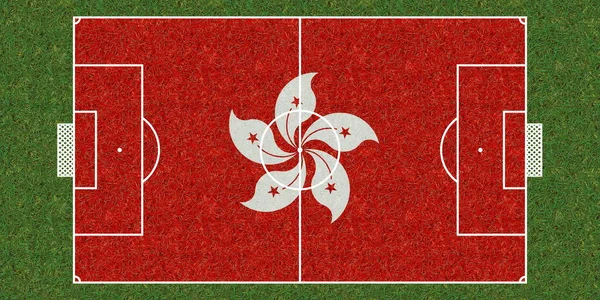 Pohled Shora Fotbalové Hřiště Zelené Trávy Vlajkou Hong Kongu Fotbalové — Stock fotografie