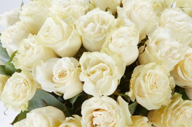 Büyük beyaz güller buketi. Sevgililer Günü için lüks buket. Nişan ya da düğün kutlaması