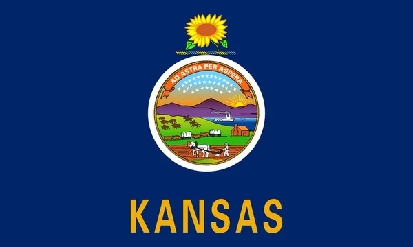 堪萨斯州国旗的头像 没有旗杆 平面设计 国旗背景 — 图库照片