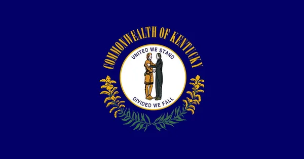 Vista Superior Bandeira Kentucky Sem Mastro Bandeira Projeto Avião Layout — Fotografia de Stock