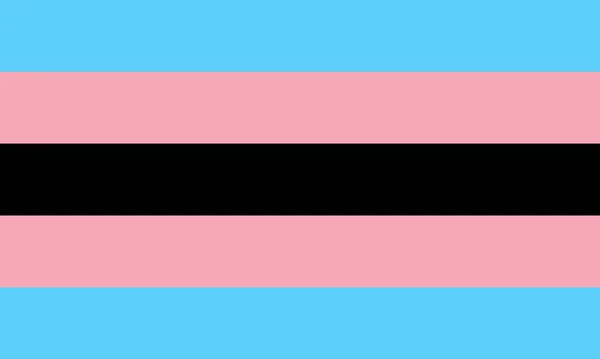 Vista Superior Bandeira Black Trans Sem Mastro Bandeira Projeto Avião — Fotografia de Stock