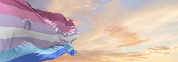 Çift Cinsiyetli Bayrak Bulutlu Gökyüzünde Rüzgarda Dalgalanıyor Özgürlük Aşk Kavramı — Stok fotoğraf