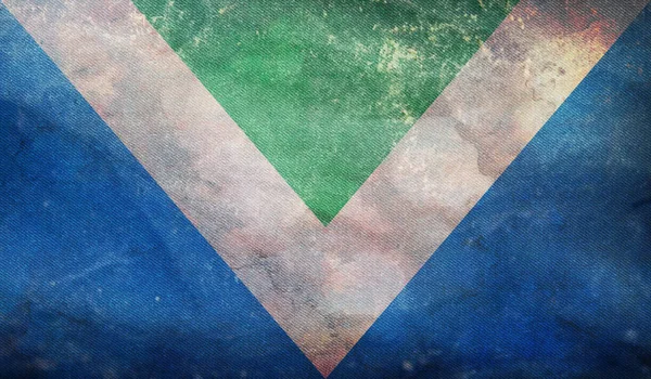 Κάτοψη Ρετρό Σημαίας Vegan Grunge Υφή Χωρίς Κοντάρι Σημαίας Σχεδιασμός — Φωτογραφία Αρχείου
