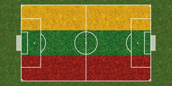 Pohled Shora Fotbalové Hřiště Zelené Trávy Vlajkou Litvy Fotbalové Pozadí — Stock fotografie