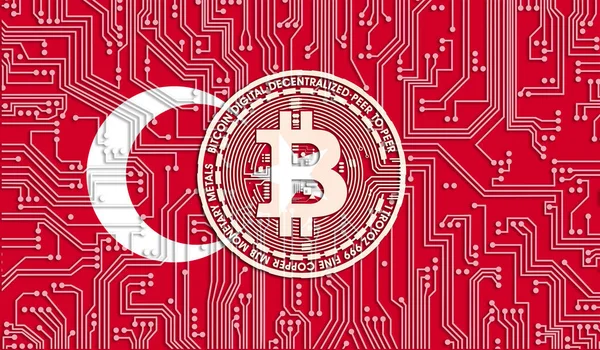 Türkiye Bayrağı Bitcoin Entegre Devre Kurulu Modeli Bitcoin Stok Büyümesi — Stok fotoğraf