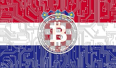 Hırvatistan bayrağı ve Bitcoin, Entegre Devre Kurulu modeli. Bitcoin Stok Büyümesi. Kripto para birimi ve Engelleme Teknolojisi yatırımcıları için kavramsal görüntü.
