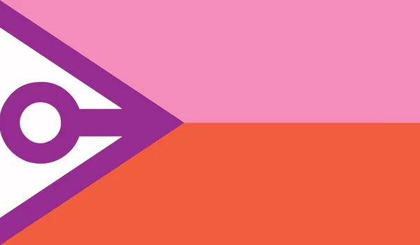 Κάτοψη Femboy Togirl Calicogirl Σημαία Χωρίς Κοντάρι Σημαίας Σχεδιασμός Αεροπλάνου — Φωτογραφία Αρχείου