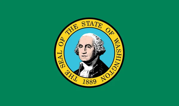 华盛顿国旗的头像 没有旗杆 平面设计 国旗背景 — 图库照片