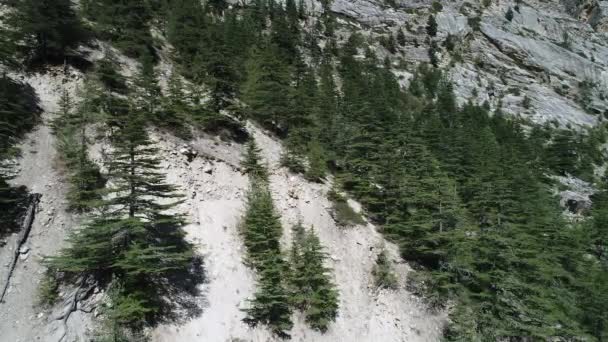 Village de Gangotri dans l'État de l'Uttarakhand en Inde vue du ciel — Stockvideo