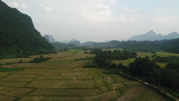 Πεδία Κοντά Στην Πόλη Vang Vieng Στο Λάος Δει Από — Αρχείο Βίντεο