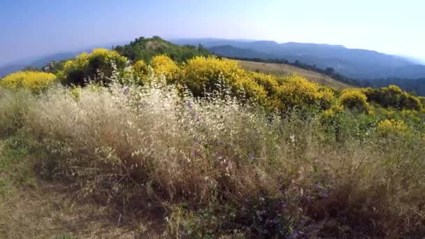 Promenad Hjärtat Luberons Regionala Naturpark Frankrike — Stockvideo