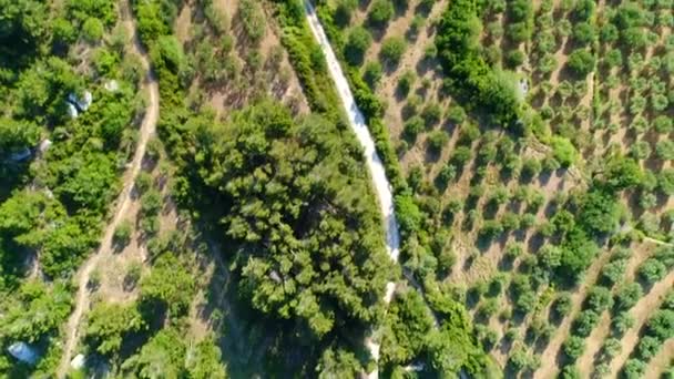 Natuurpark Alpilles Bij Les Baux Provence Frankrijk Vanuit Lucht — Stockvideo