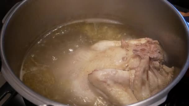 Preparation Hen Henri Hen Pot — Stock Video