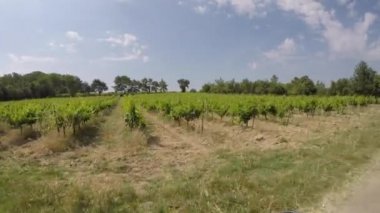 Fransa 'nın Bouches-du-Rhone kentindeki Alpilles doğal parkında araba yolculuğu.