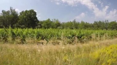 Fransa 'nın Bouches-du-Rhone kentindeki Alpilles doğal parkında araba yolculuğu.
