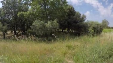 Fransa 'nın Bouches-du-Rhone kentindeki Alpilles doğal parkında araba yolculuğu.