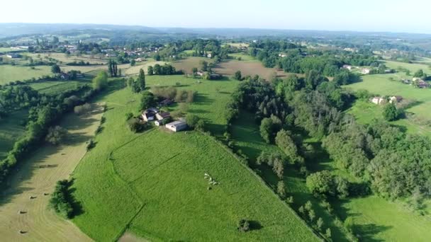 Cerca Del Pueblo Buisson Cadouin Périgord Francia Vista Aérea — Vídeo de stock