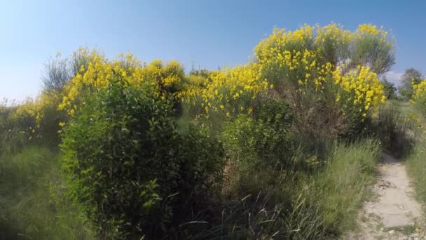 Promenad Hjärtat Luberons Regionala Naturpark Frankrike — Stockvideo