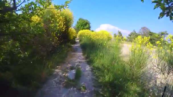 Caminhe Coração Parque Natural Regional Luberon França — Vídeo de Stock