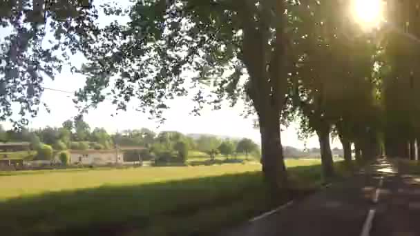 Paseo Coche Corazón Del Parque Natural Regional Luberon Francia — Vídeos de Stock