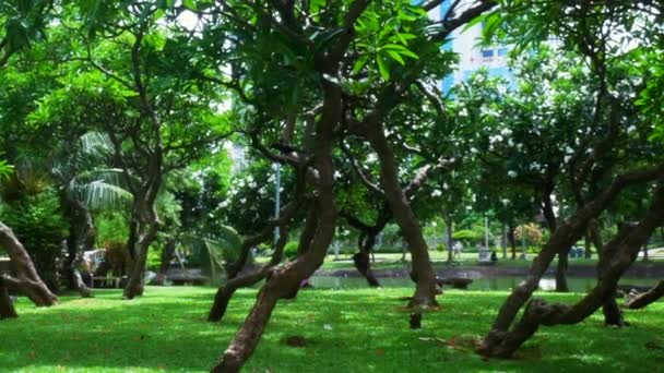 バンコクのルンピニー公園 — ストック動画