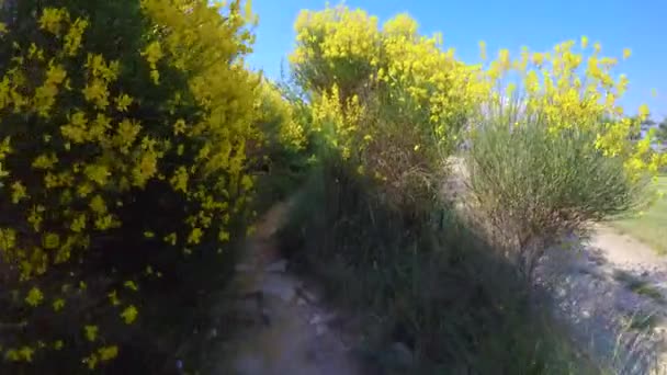 Promenad Hjärtat Luberons Regionala Naturpark Frankrike — Stockvideo