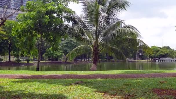 Πάρκο Lumphini Στην Μπανγκόκ Της Ταϊλάνδης — Αρχείο Βίντεο