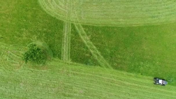 Maneggio Tosaerba Azione Visto Dal Cielo — Video Stock