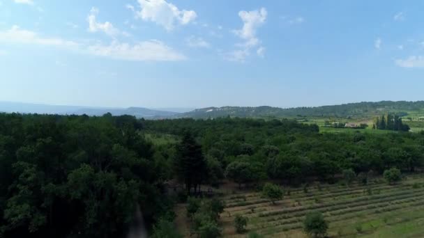 空からフランスのLes Boux Provence近くのアルプス自然公園 — ストック動画