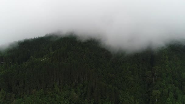 Zona Del Monasterio Rumtek Sikkim India Vista Desde Cielo — Vídeo de stock