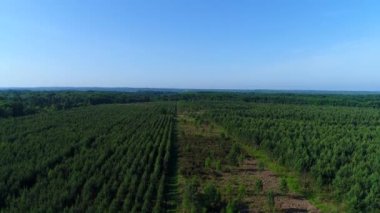 Fransa 'nın Perigord kentindeki Le Buisson de Cadouin köyüne yakın bir firavun tarlası.