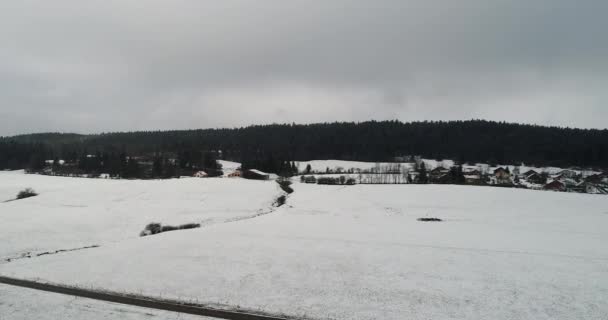 Village Saint Point Lac Doubs Frankrike Sett Från Himlen — Stockvideo