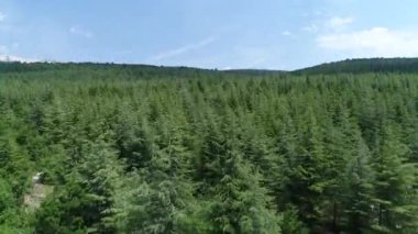 Provence 'deki Mont Ventoux Fransa semalarında görüldü