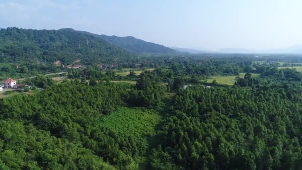 Paisajes Naturales Alrededor Ciudad Vang Vieng Laos Vistos Desde Cielo — Vídeos de Stock