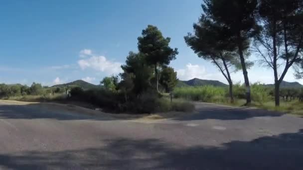 Paseo Coche Por Parque Natural Los Alpilles Bouches Rhone Francia — Vídeos de Stock