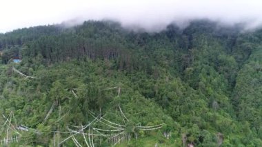 Sikkim Hindistan 'daki Rumtek Manastırı gökyüzünden görünüyor.