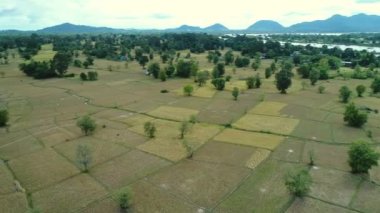 Güney Laos 'taki Don Det yakınlarında gökyüzünden görünen 4000 ada.