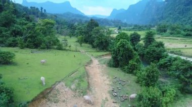 Laos 'taki Vang Vieng şehrinin çevresindeki manzara gökyüzünden görünüyor.