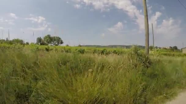 フランスのブーシュ ローヌにあるアルパール自然公園での車に乗る — ストック動画