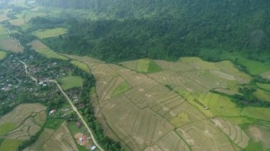 Laos 'ta Vang Vieng kasabası yakınlarındaki doğa manzarası gökyüzünden görülüyor.