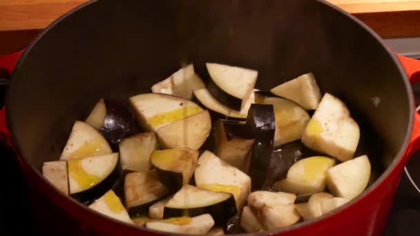 Cooking Ratatouille Nice — Stock Video