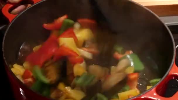 Μαγειρεύοντας Ratatouille Από Νίκαια — Αρχείο Βίντεο
