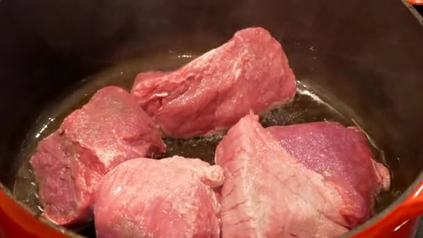 Preparación Tradicional Carne Vacuno Borgoña Con Vino Tinto Borgoña — Vídeos de Stock